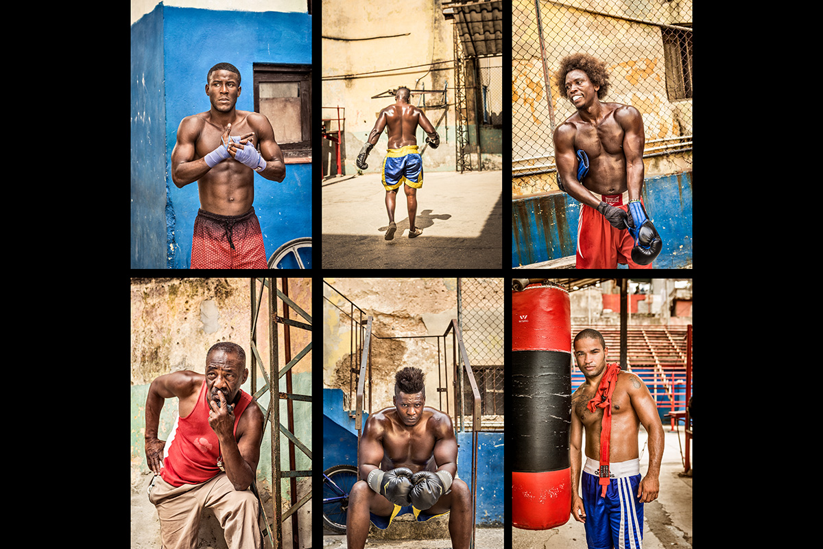 Fotodruck Kuba Boxer